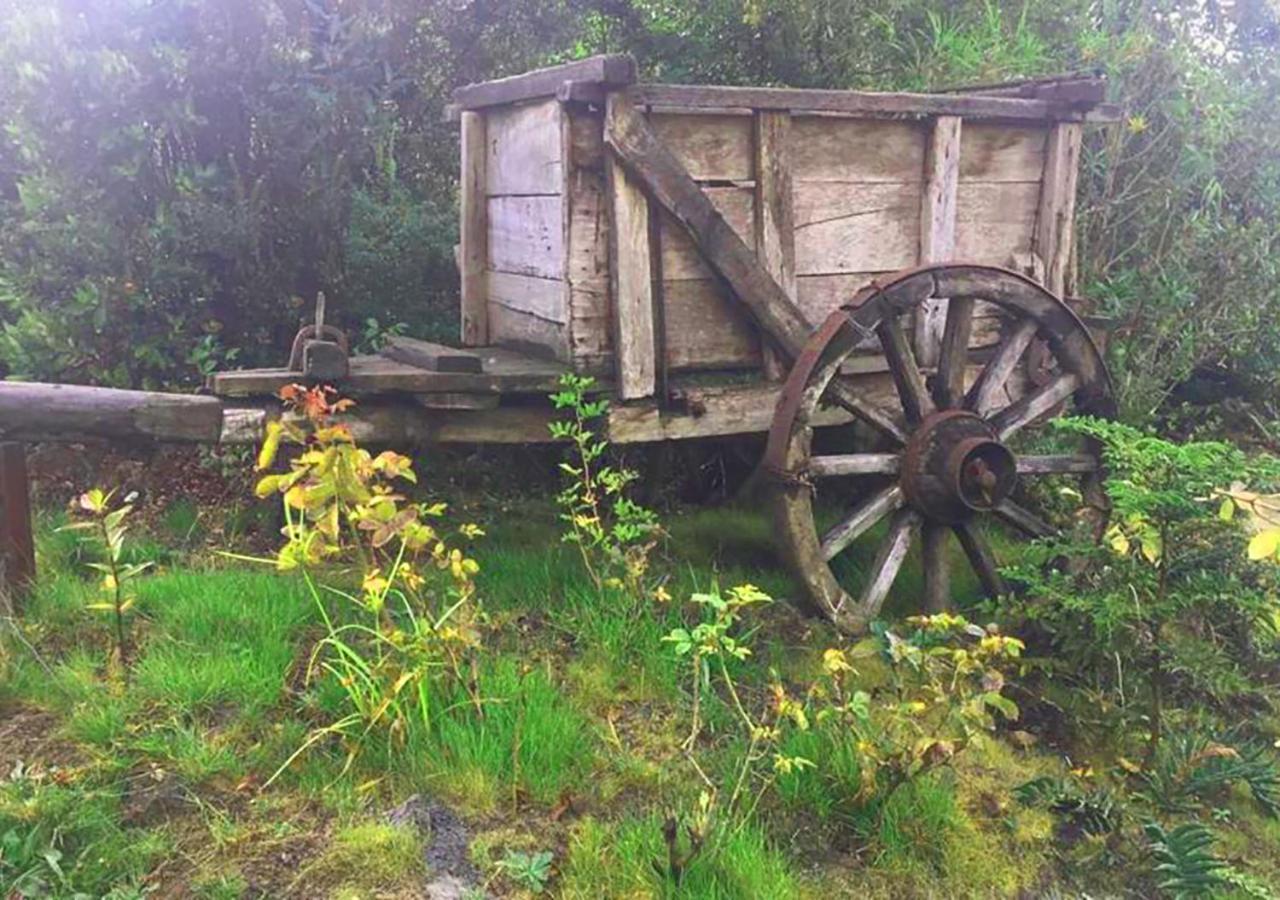 Cabanas Los Cantos Del Chucao Puerto Varas Exterior photo